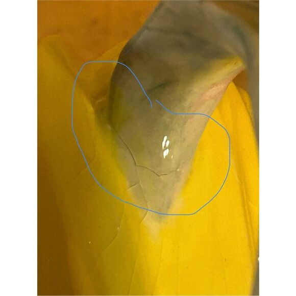 Vintage Rommel Nueva for Saparna sunflower pitcher (8867) Read  - Picture 7 of 8